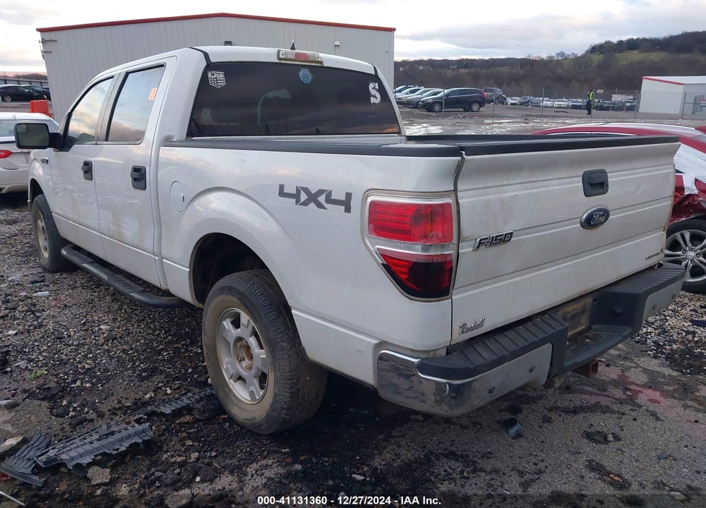 2014 FORD F-150 XLT VIN: 1FTFW1EF2EFA69983