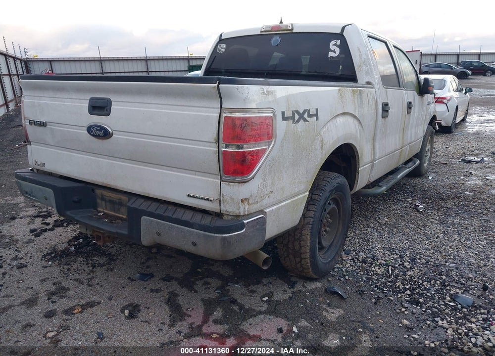 2014 FORD F-150 XLT VIN: 1FTFW1EF2EFA69983