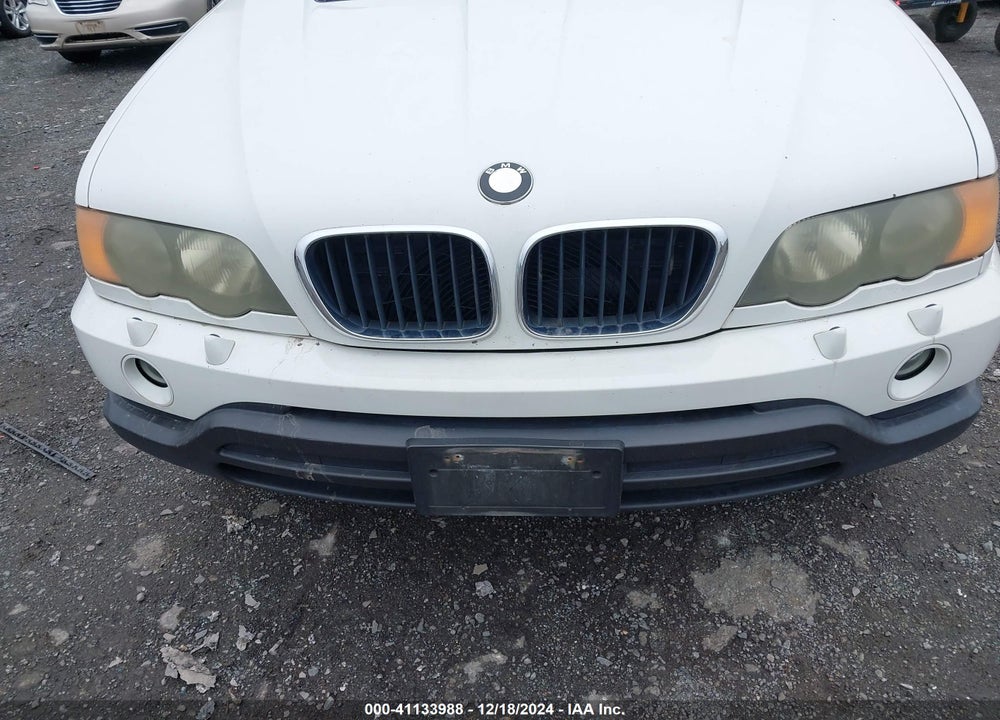 2003 BMW X5 3.0I VIN: 5UXFA53523LV90621