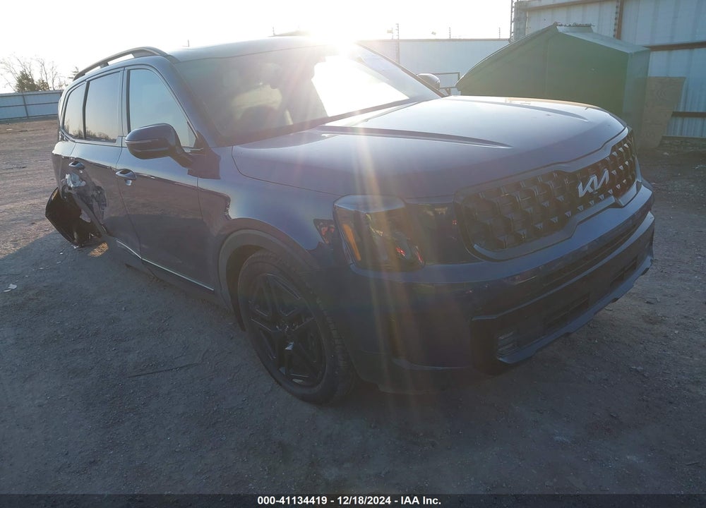2024 KIA TELLURIDE SX PRESTIGE X-LINE VIN: 5XYP5DGC5RG481720