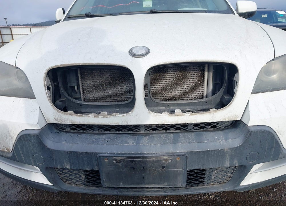 2009 BMW X5 XDRIVE30I VIN: 5UXFE43589L270114