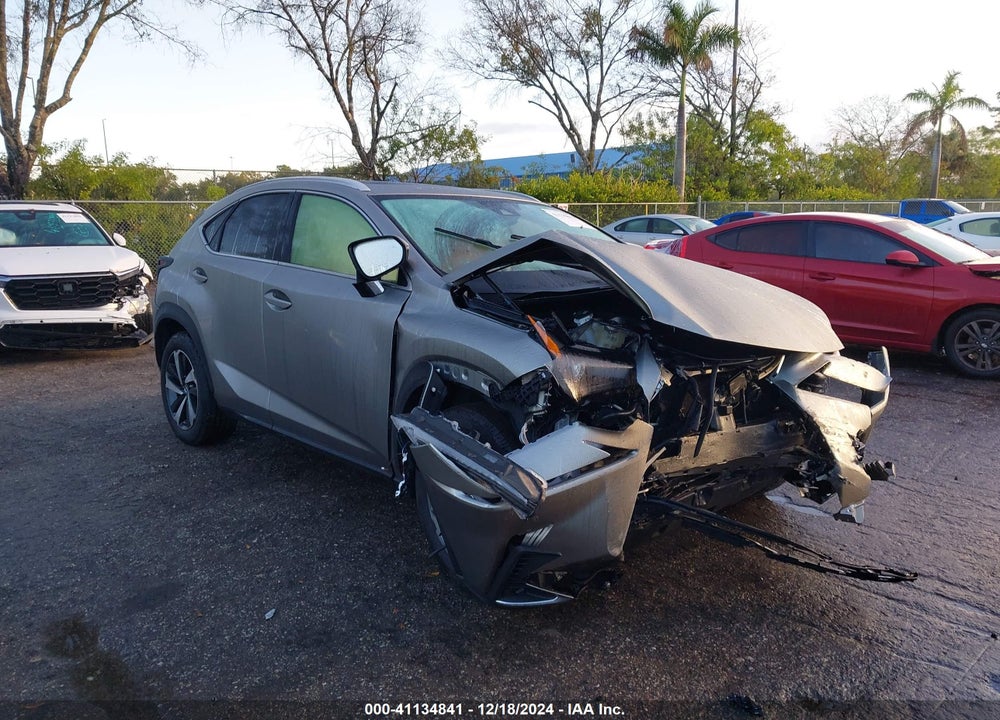 2021 LEXUS NX 300 VIN: JTJGARBZ9M5034066