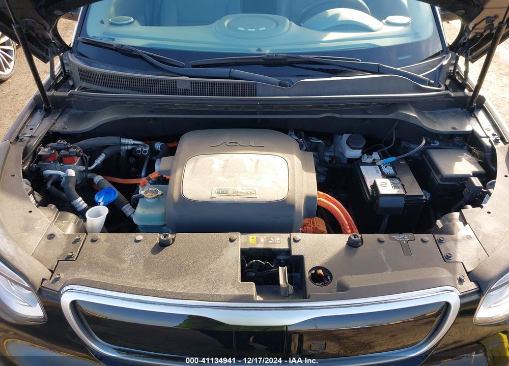 2016 KIA SOUL EV VIN: KNDJX3AE0G7013067