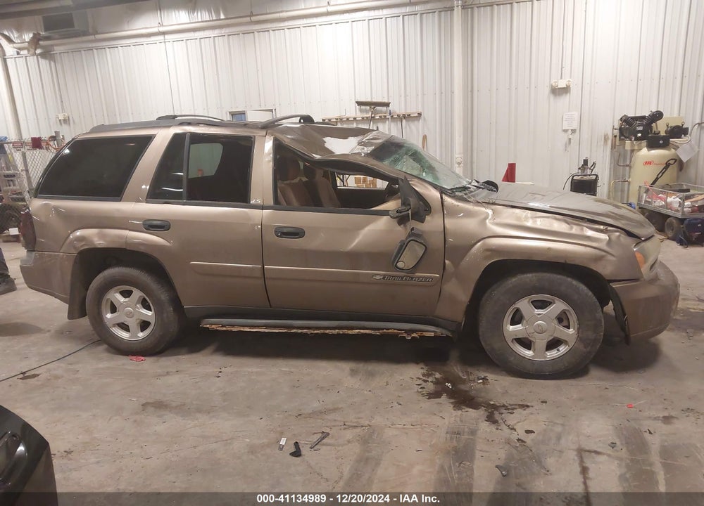 2002 CHEVROLET TRAILBLAZER LS VIN: 1GNDT13S822465734
