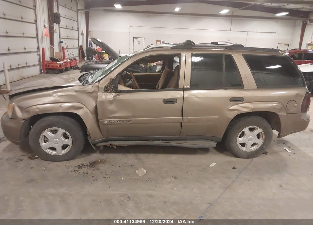 2002 CHEVROLET TRAILBLAZER LS VIN: 1GNDT13S822465734