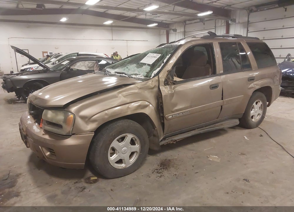2002 CHEVROLET TRAILBLAZER LS VIN: 1GNDT13S822465734