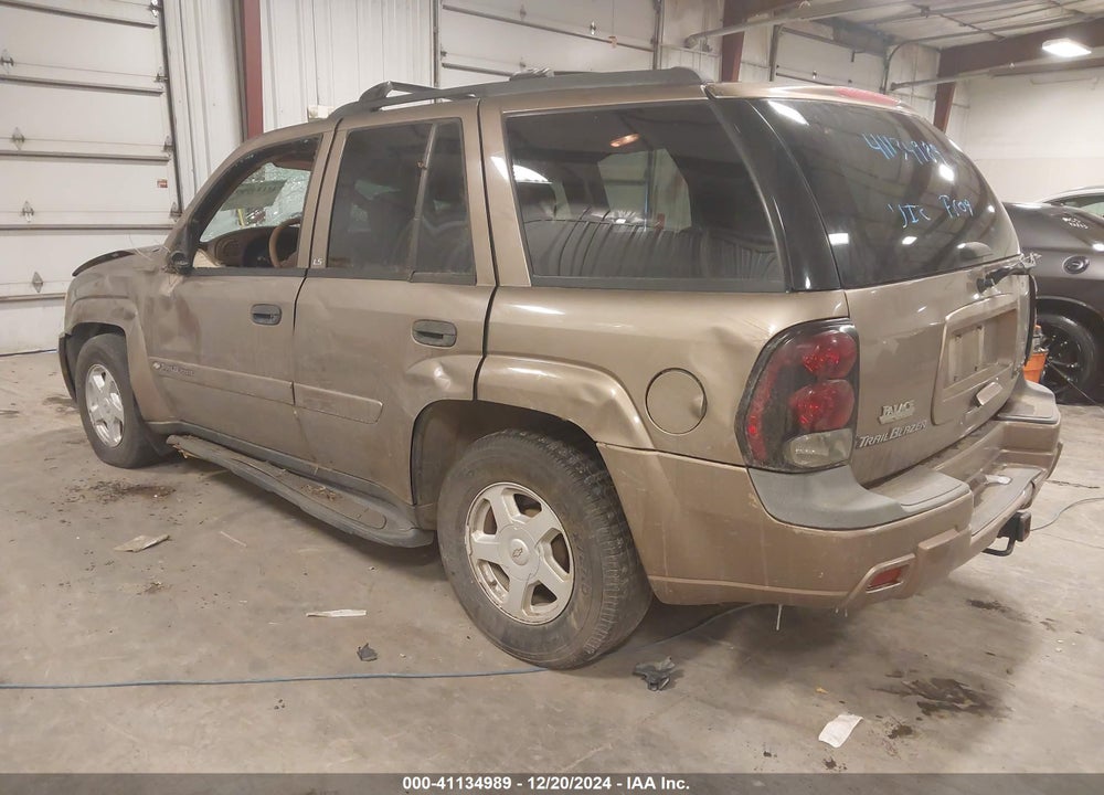 2002 CHEVROLET TRAILBLAZER LS VIN: 1GNDT13S822465734