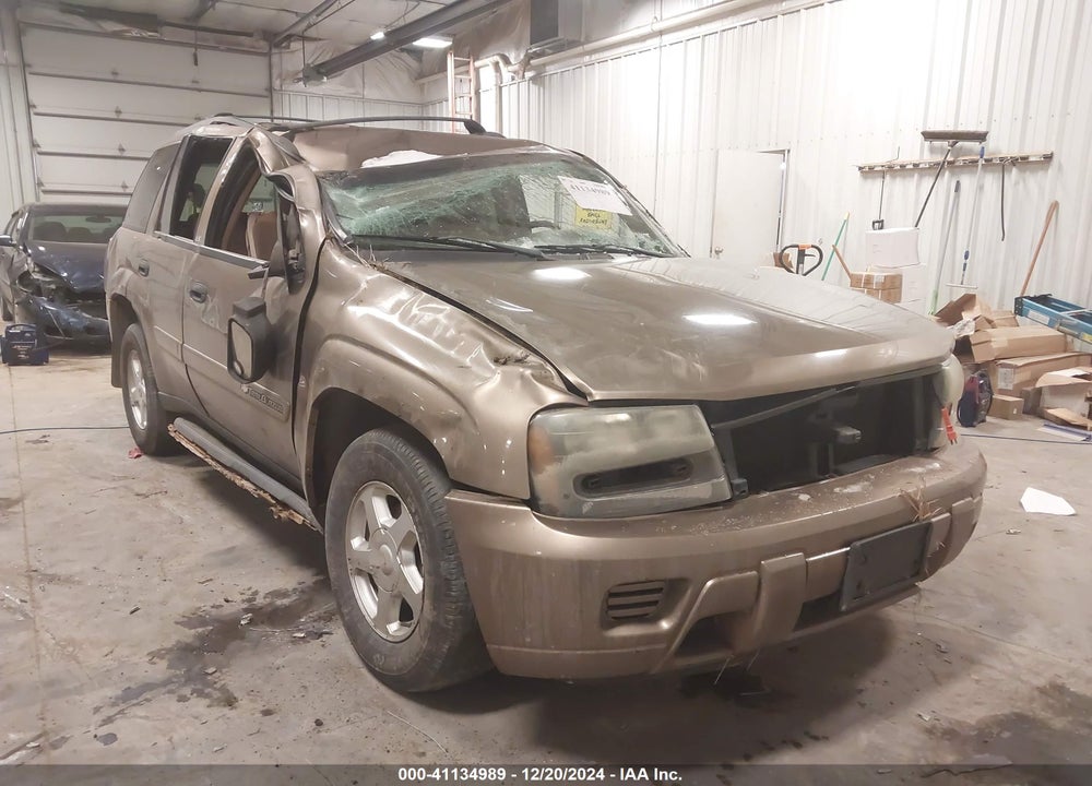 2002 CHEVROLET TRAILBLAZER LS VIN: 1GNDT13S822465734