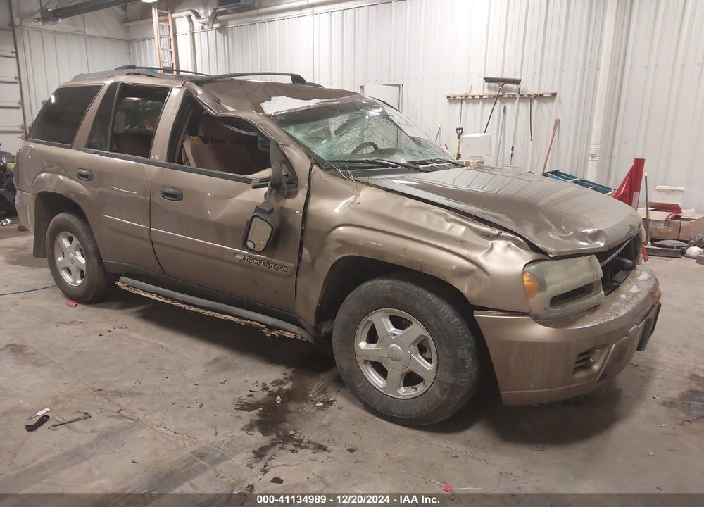 2002 CHEVROLET TRAILBLAZER LS VIN: 1GNDT13S822465734