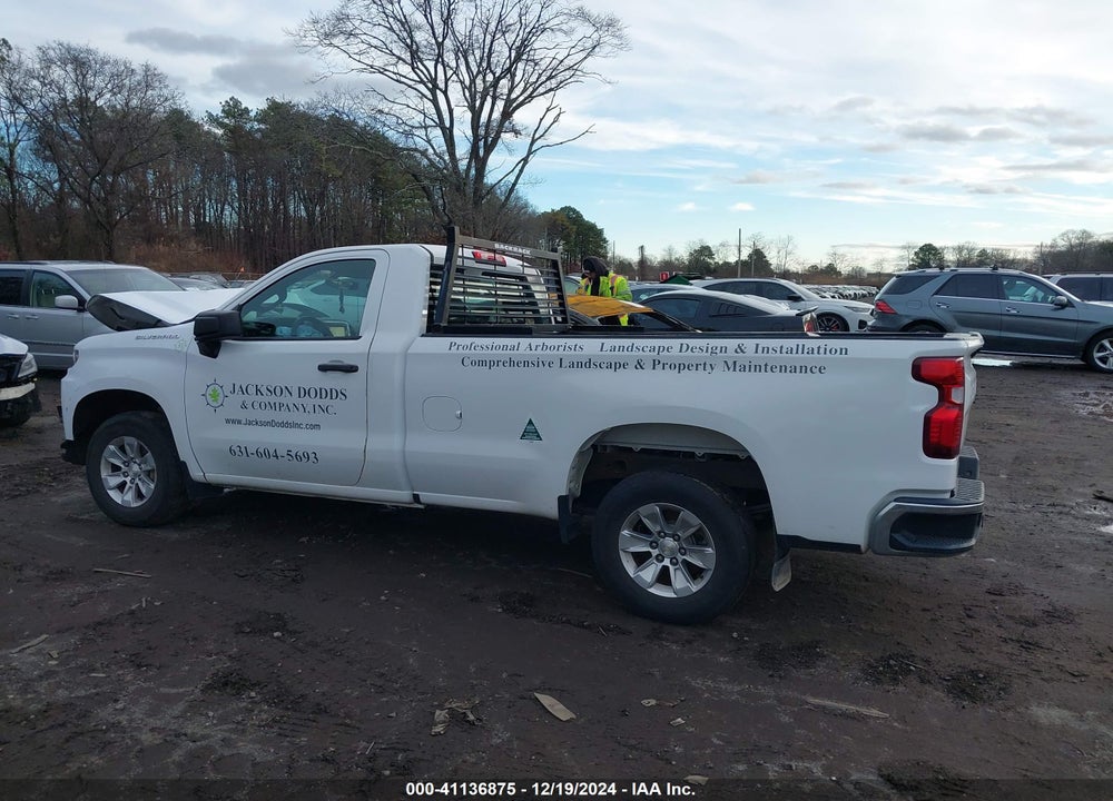 2019 CHEVROLET SILVERADO 1500 VIN: 3GCNWAEF3KG289185