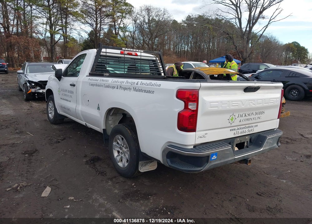 2019 CHEVROLET SILVERADO 1500 VIN: 3GCNWAEF3KG289185