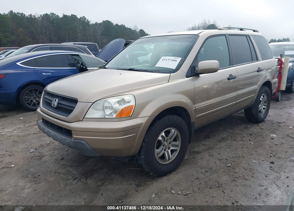 2005 HONDA PILOT EX-L VIN: 5FNYF18535B059799