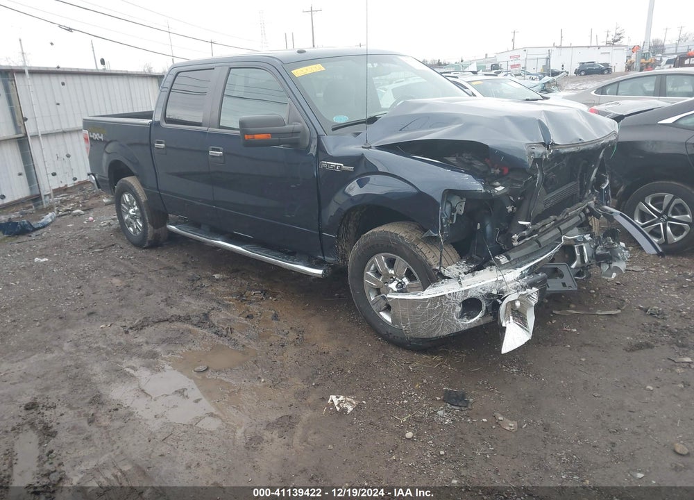 2013 FORD F-150 XLT VIN: 1FTFW1EF9DFC48746