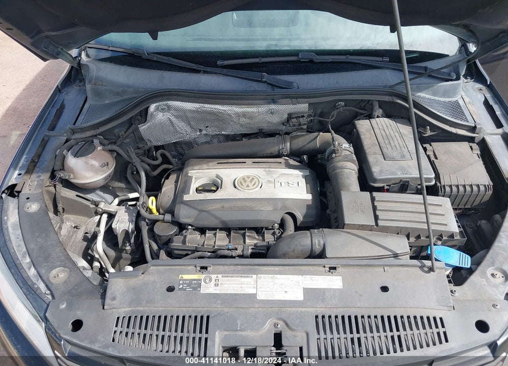 2014 VOLKSWAGEN TIGUAN S VIN: WVGAV3AX8EW509367