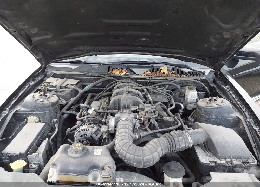 2010 FORD MUSTANG V6/V6 PREMIUM VIN: 1ZVBP8AN0A5152584