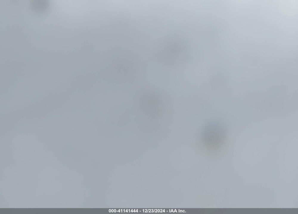 2021 HYUNDAI TRANSLEAD INC --- VIN: 3H3V532C0MR365092