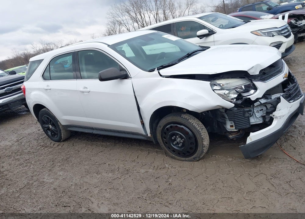2016 CHEVROLET EQUINOX LS VIN: 2GNFLEEK3G6289571