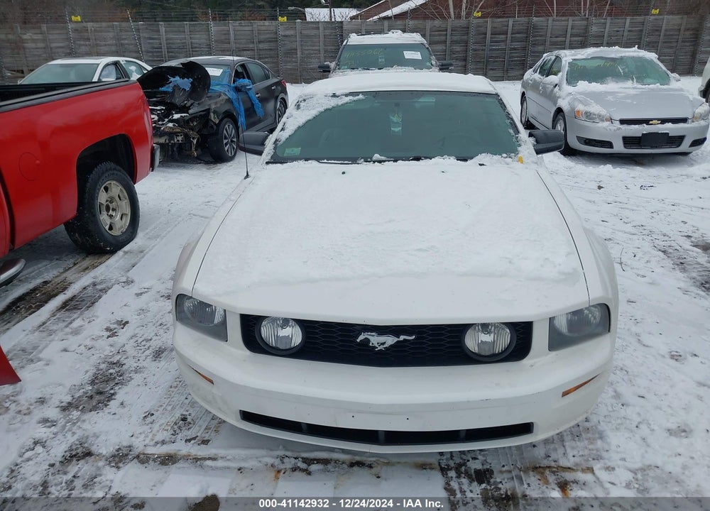 2006 FORD MUSTANG GT VIN: 1ZVHT82H665143118
