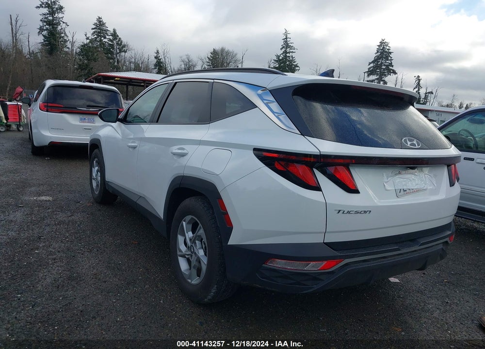 2024 HYUNDAI TUCSON SEL VIN: 5NMJB3DE5RH411039