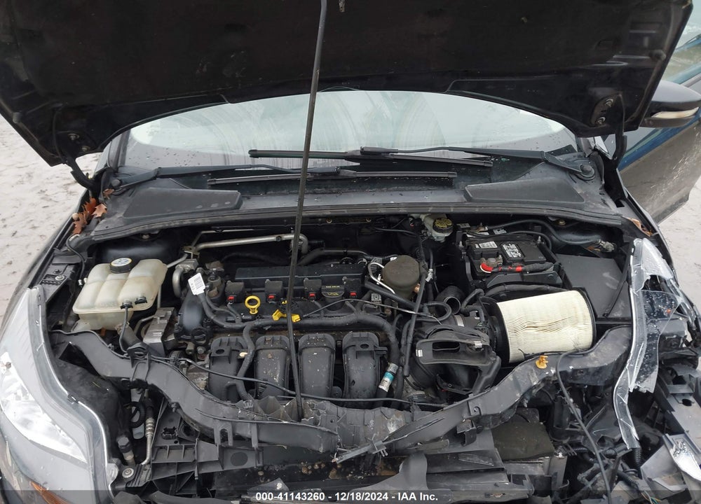 2013 FORD FOCUS VIN: 1FADP3K24DL225318