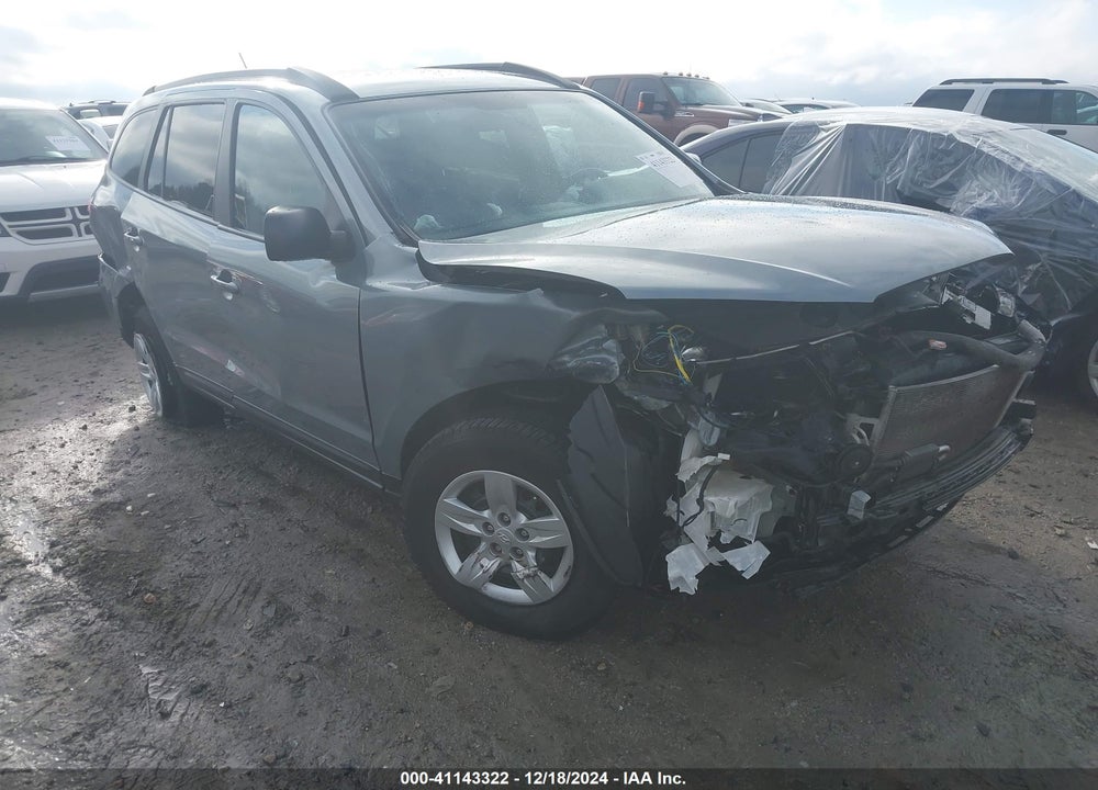 2009 HYUNDAI SANTA FE GLS VIN: 5NMSG13D69H317612