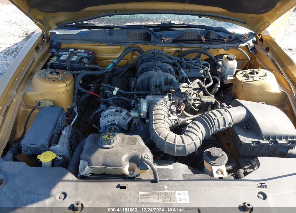 2010 FORD MUSTANG V6/V6 PREMIUM VIN: 1ZVBP8AN6A5146269