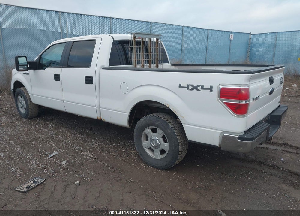 2010 FORD F150 VIN: 1FTFW1EV4AFD68862