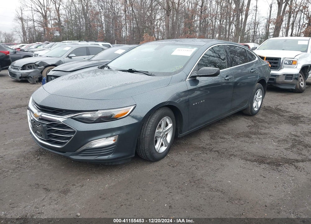 2019 CHEVROLET MALIBU VIN: 1G1ZB5ST1KF224943