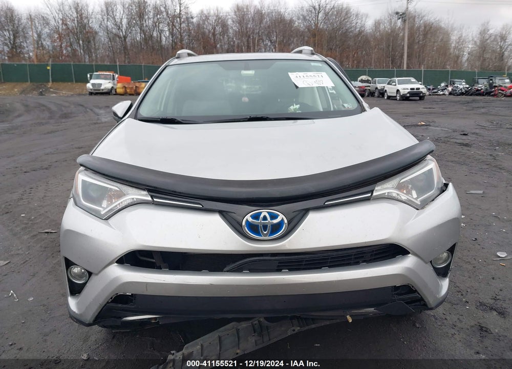 2016 TOYOTA RAV4 HYBRID VIN: JTMRJREV1GD014313