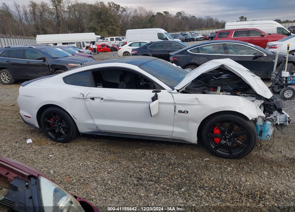 2019 FORD MUSTANG GT VIN: 1FA6P8CF4K5176386