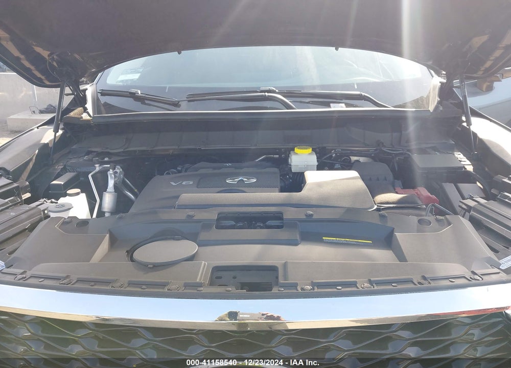 2024 INFINITI QX60 VIN: 5N1DL1FS6RC333236