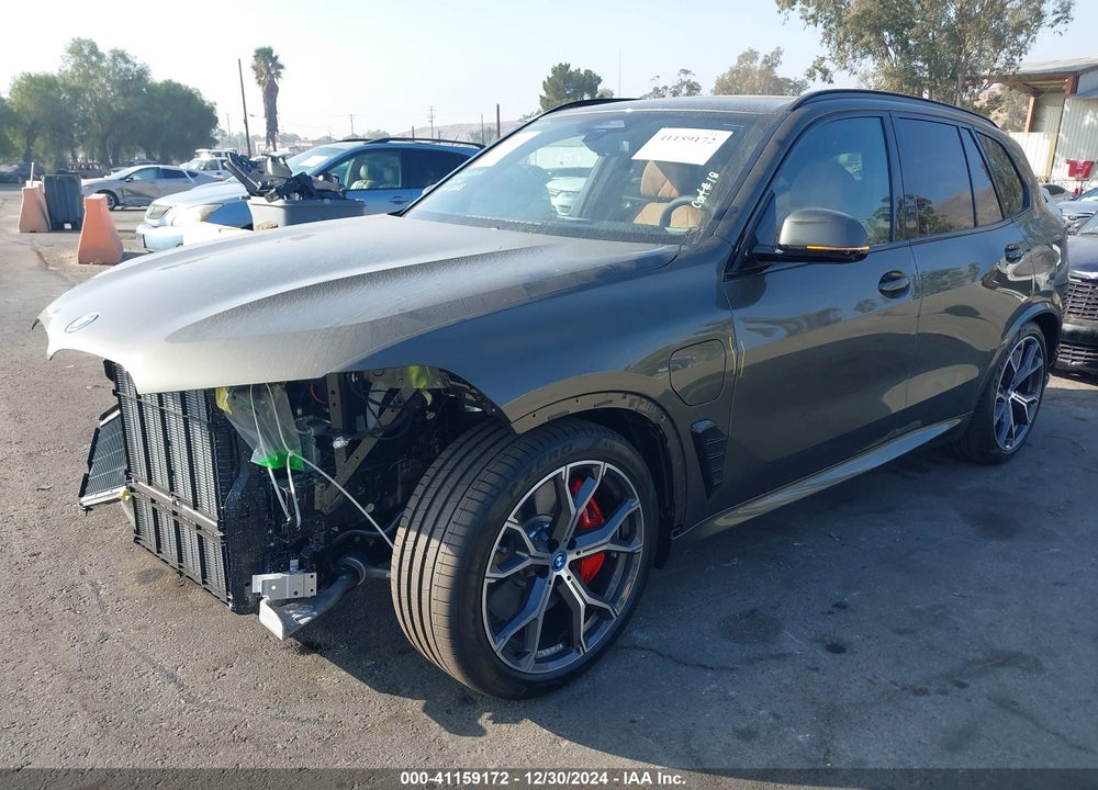 2025 BMW X5 PHEV VIN: 5UX43EU01S9Y63273