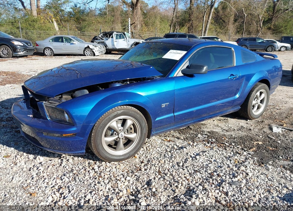 2006 FORD MUSTANG GT VIN: 1ZVFT82H665227995