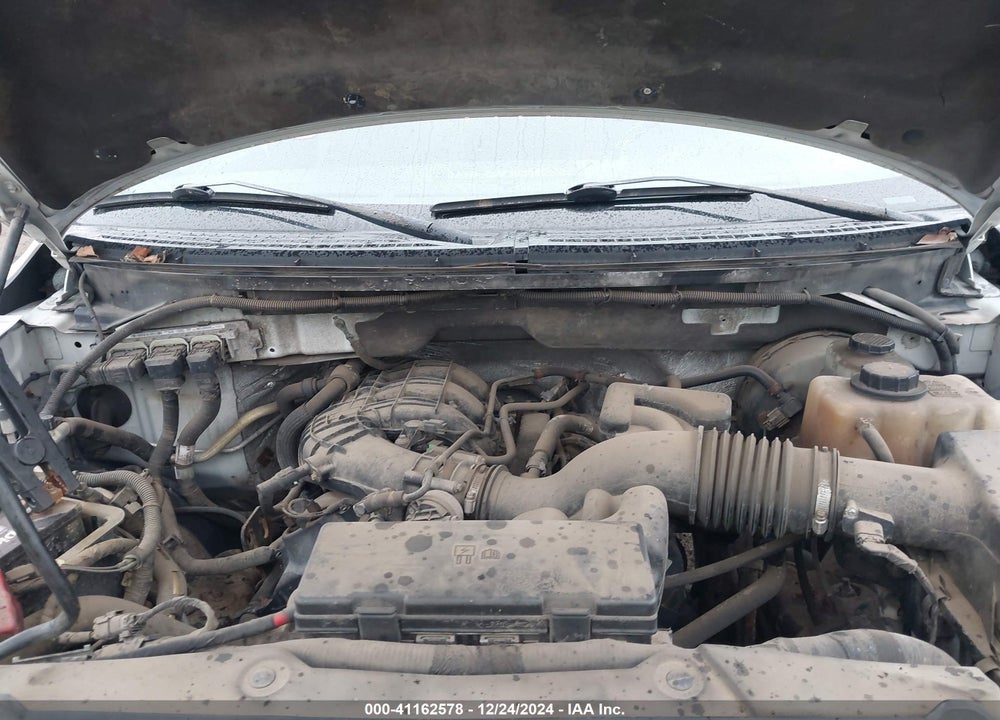 2011 FORD F-150 XL VIN: 1FTMF1CM7BKD67313