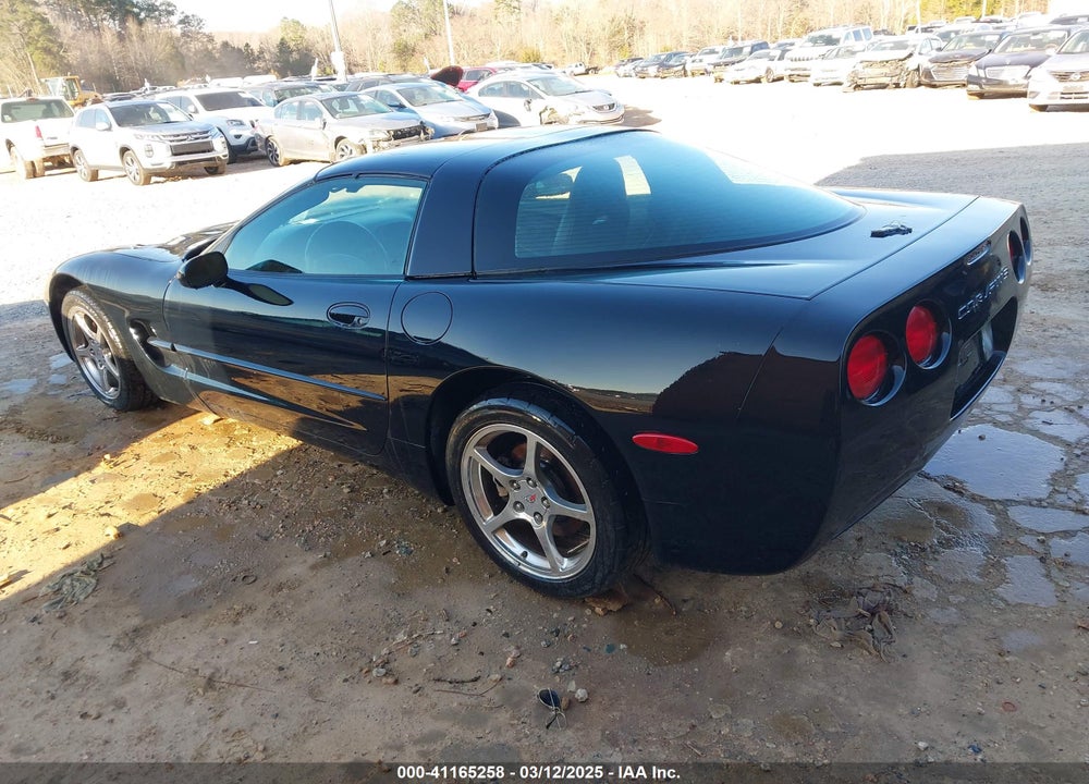 2002 CHEVROLET CORVETTE VIN: 1G1YY22G625132650