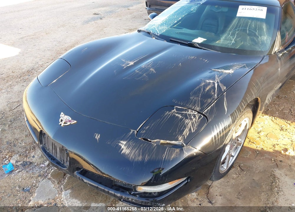 2002 CHEVROLET CORVETTE VIN: 1G1YY22G625132650