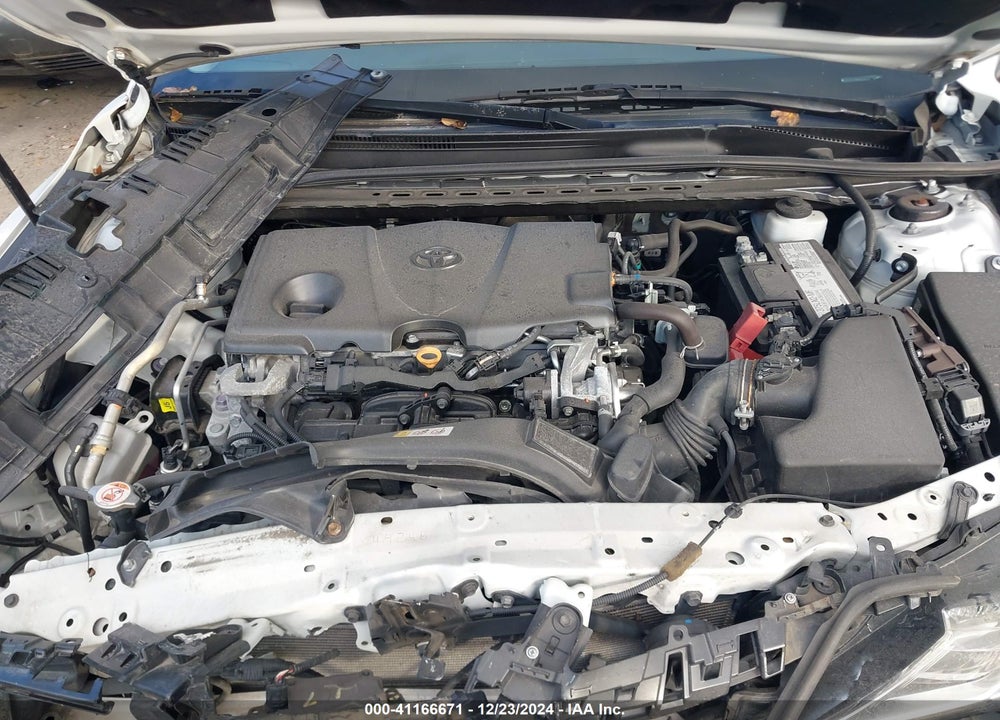 2020 TOYOTA CAMRY VIN: 4T1C11AK1LU356059