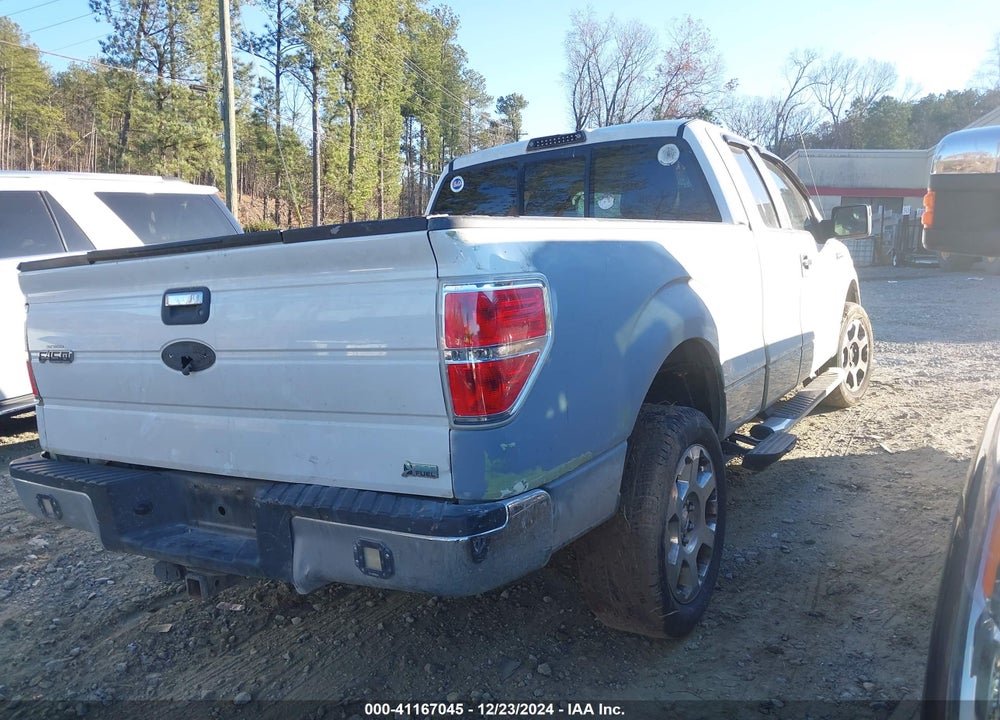 2010 FORD F-150 VIN: 1FTFX1EV0AFA64506