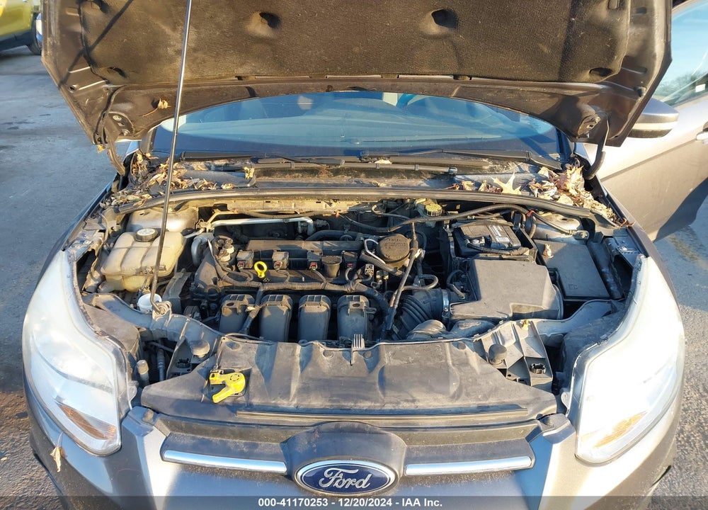 2013 FORD FOCUS SE VIN: 1FADP3K29DL176553
