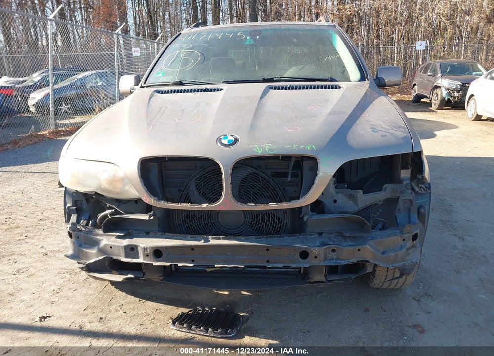2006 BMW X5 3.0I VIN: 5UXFA13516LY32666