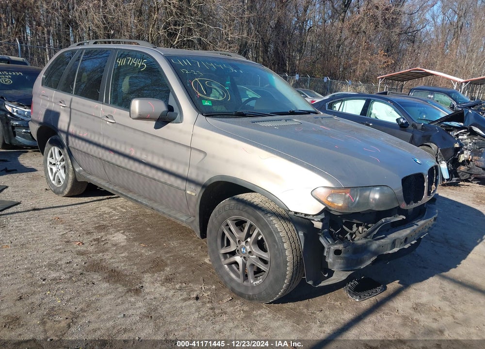 2006 BMW X5 3.0I VIN: 5UXFA13516LY32666