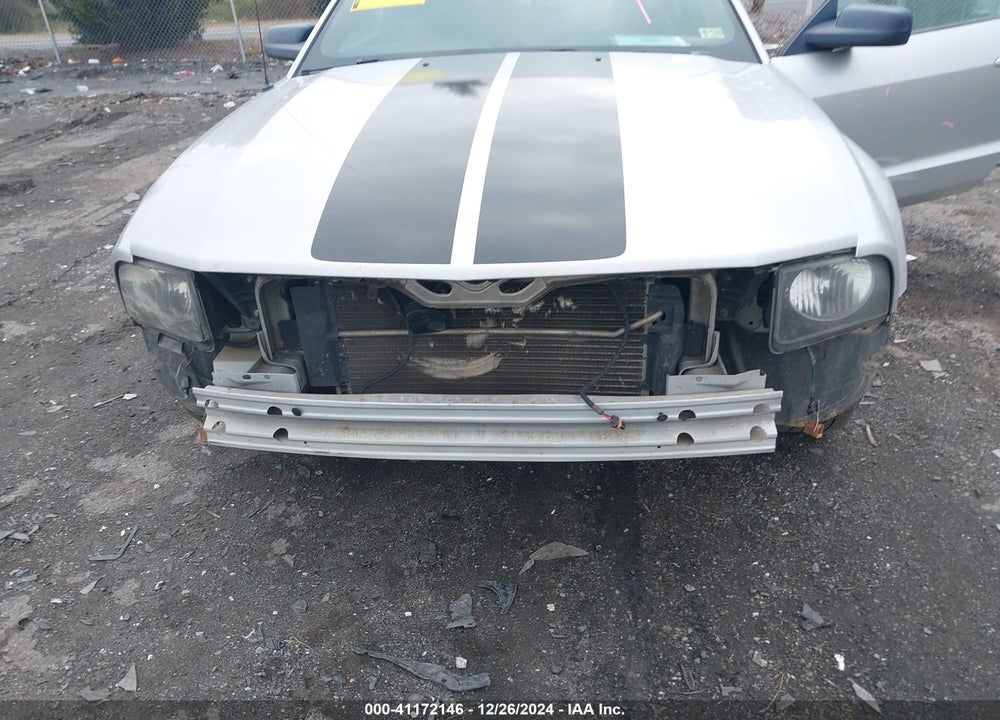 2009 FORD MUSTANG V6/V6 PREMIUM VIN: 1ZVHT80N995132272