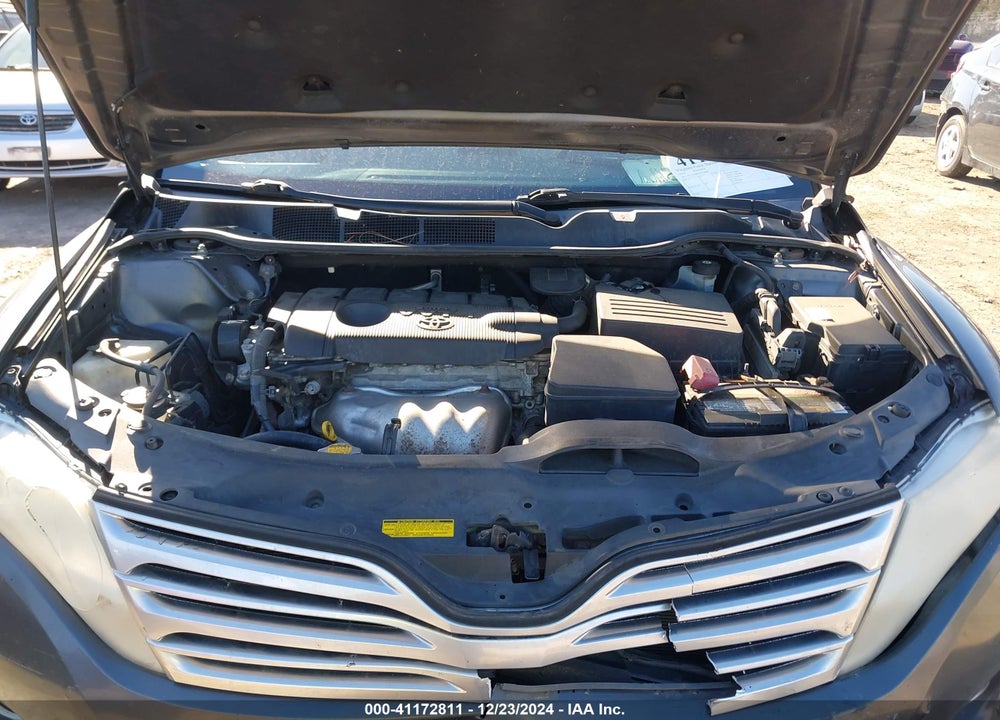 2010 TOYOTA VENZA VIN: 4T3ZA3BB4AU028689