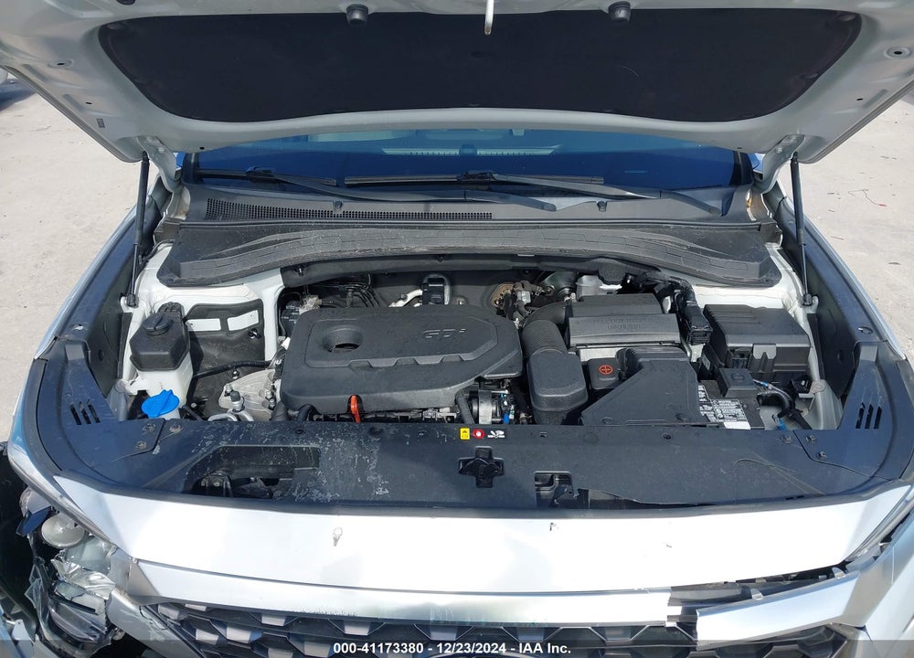 2019 HYUNDAI SANTA FE VIN: 5NMS2CAD8KH121402
