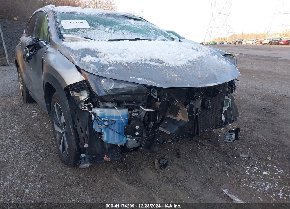 2019 LEXUS NX VIN: JTJBARBZ4K2192498