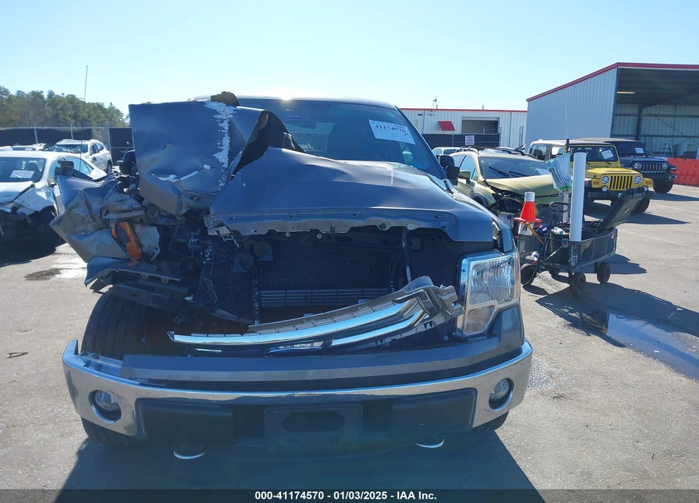 2013 FORD F-150 XLT VIN: 1FTFX1EF4DKG37363