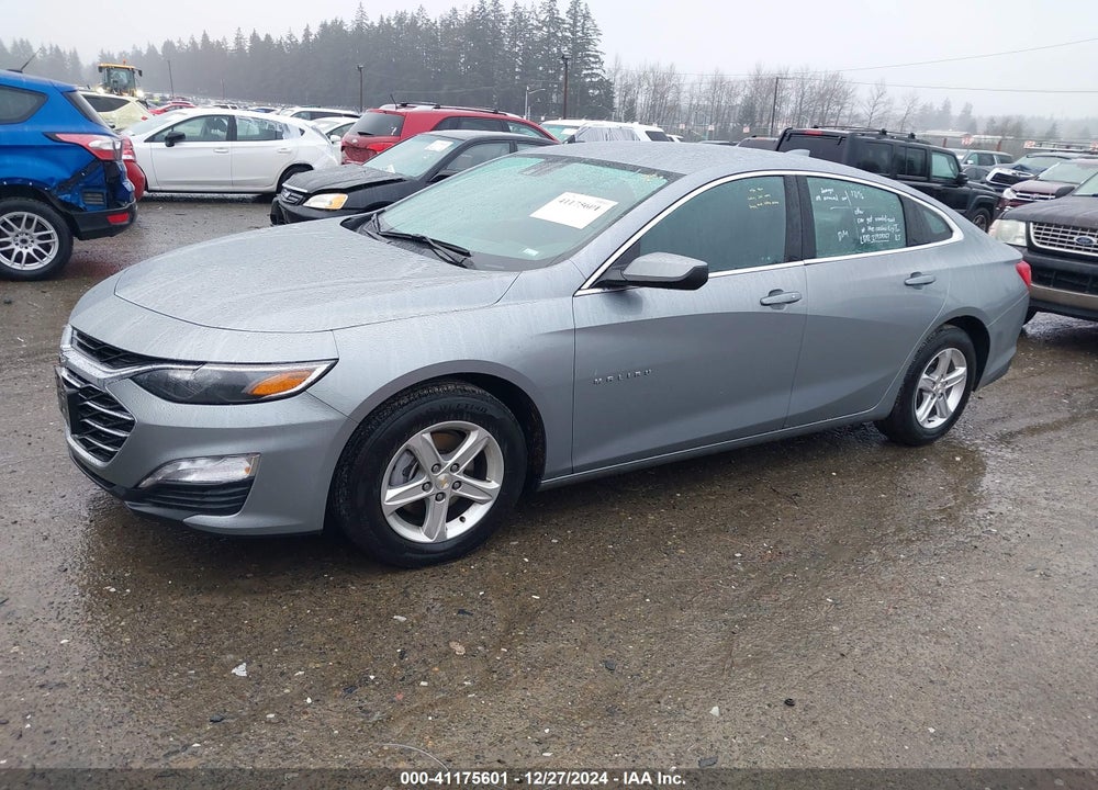 2024 CHEVROLET MALIBU FWD 1LT VIN: 1G1ZD5ST4RF153211