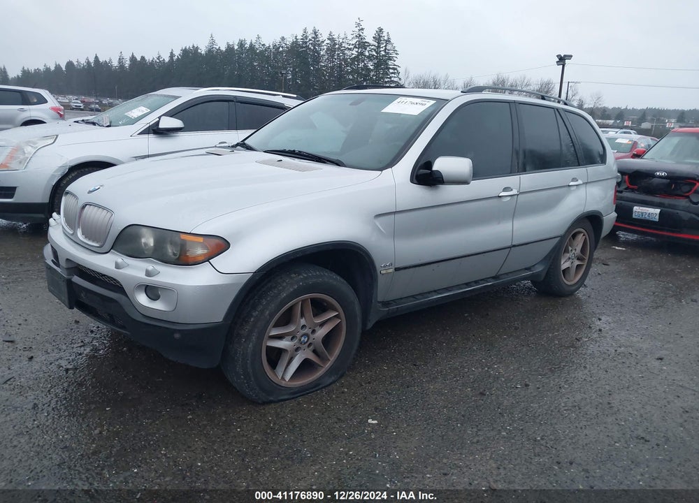 2005 BMW X5 4.4I VIN: 5UXFB53565LV19311