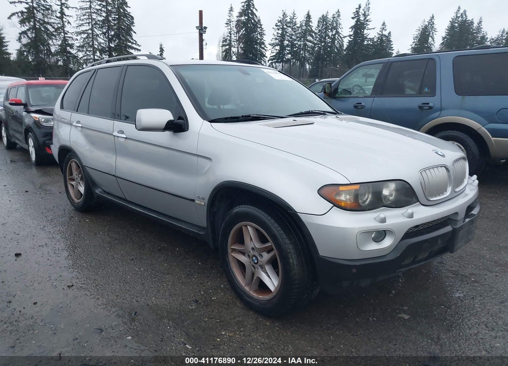 2005 BMW X5 4.4I VIN: 5UXFB53565LV19311