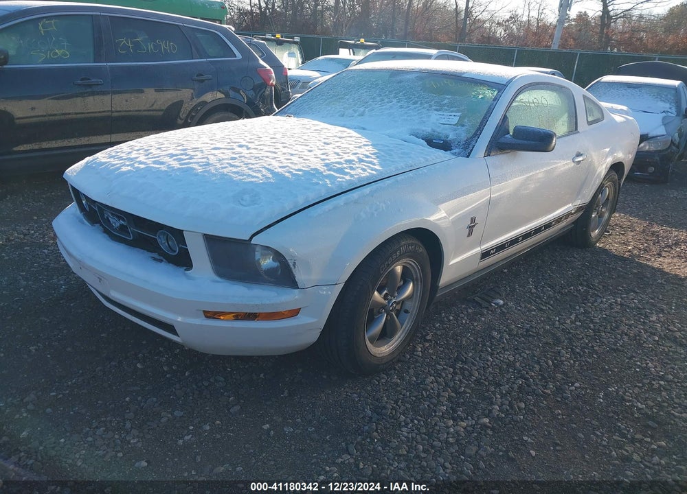 2006 FORD MUSTANG VIN: 1ZVHT80N265180594